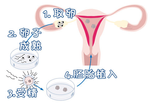 张蓝之主任